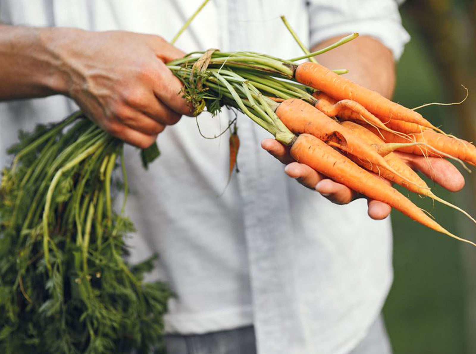 The Best Ways to Organize Your Grocery List