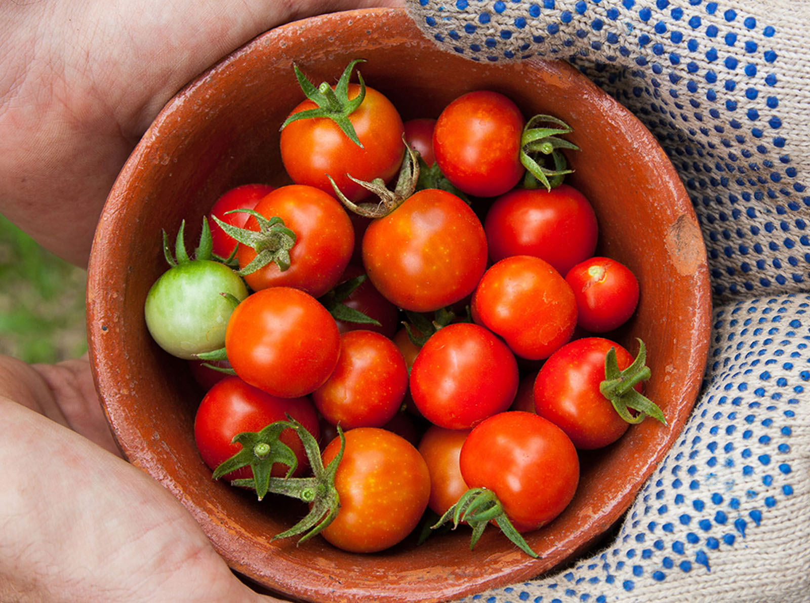 Simple Hacks for Storing Food Longer