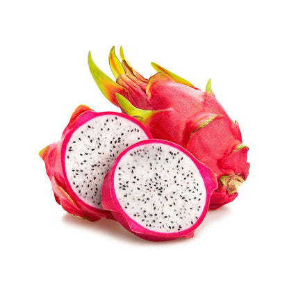 Pink Dragon Live Plant Alocasia Calidora Fruit
